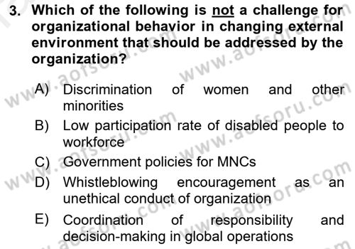 Organizational Behavior Dersi 2018 - 2019 Yılı (Final) Dönem Sonu Sınav Soruları 3. Soru