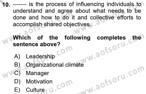Organizational Behavior Dersi 2018 - 2019 Yılı Yaz Okulu Sınav Soruları 10. Soru