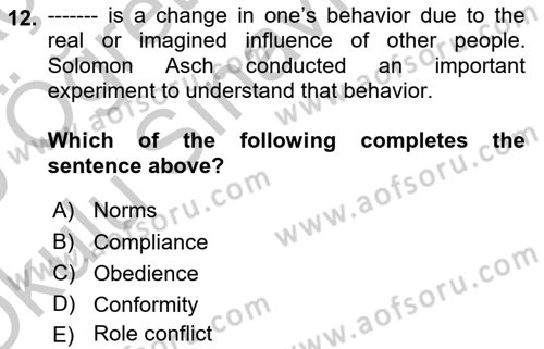 Organizational Behavior Dersi 2018 - 2019 Yılı Yaz Okulu Sınav Soruları 12. Soru