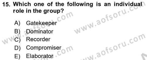 Organizational Behavior Dersi 2018 - 2019 Yılı Yaz Okulu Sınav Soruları 15. Soru