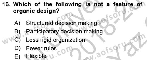 Organizational Behavior Dersi 2018 - 2019 Yılı Yaz Okulu Sınav Soruları 16. Soru