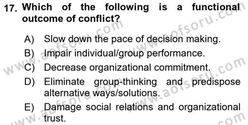 Organizational Behavior Dersi 2018 - 2019 Yılı Yaz Okulu Sınav Soruları 17. Soru