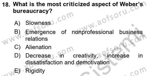Organizational Behavior Dersi 2018 - 2019 Yılı Yaz Okulu Sınav Soruları 18. Soru