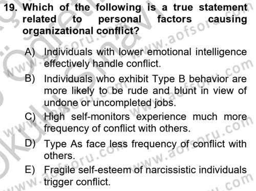 Organizational Behavior Dersi 2018 - 2019 Yılı Yaz Okulu Sınav Soruları 19. Soru