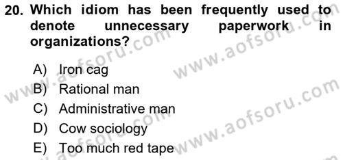 Organizational Behavior Dersi 2018 - 2019 Yılı Yaz Okulu Sınav Soruları 20. Soru