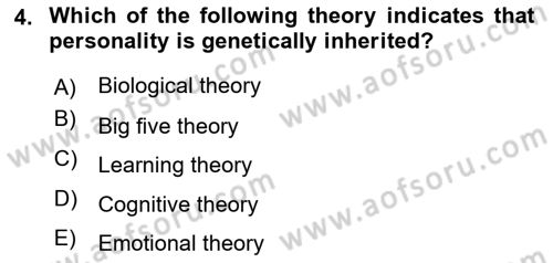 Organizational Behavior Dersi 2018 - 2019 Yılı Yaz Okulu Sınav Soruları 4. Soru