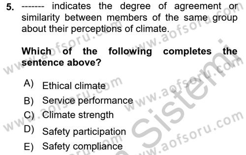 Organizational Behavior Dersi 2018 - 2019 Yılı Yaz Okulu Sınav Soruları 5. Soru