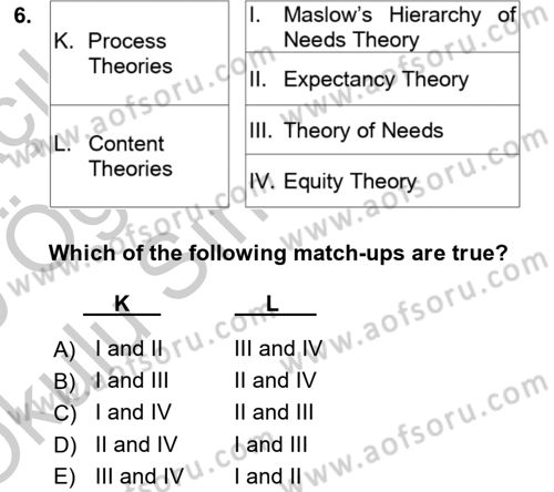 Organizational Behavior Dersi 2018 - 2019 Yılı Yaz Okulu Sınav Soruları 6. Soru