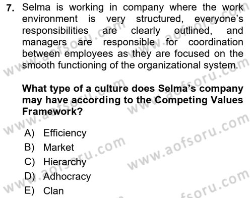 Organizational Behavior Dersi 2018 - 2019 Yılı Yaz Okulu Sınav Soruları 7. Soru