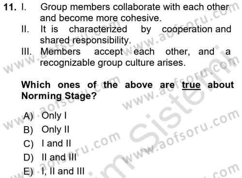 Organizational Behavior Dersi 2020 - 2021 Yılı Yaz Okulu Sınav Soruları 11. Soru