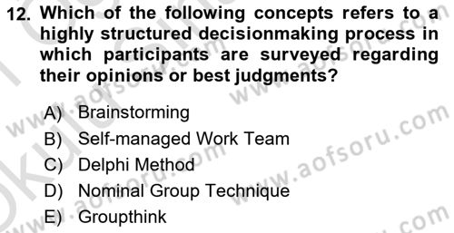 Organizational Behavior Dersi 2020 - 2021 Yılı Yaz Okulu Sınav Soruları 12. Soru