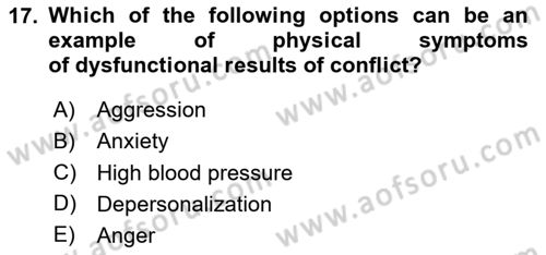 Organizational Behavior Dersi 2020 - 2021 Yılı Yaz Okulu Sınav Soruları 17. Soru