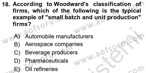 Organizational Behavior Dersi 2020 - 2021 Yılı Yaz Okulu Sınav Soruları 18. Soru