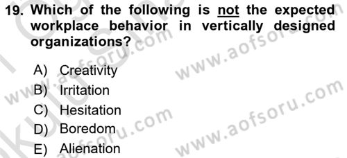 Organizational Behavior Dersi 2020 - 2021 Yılı Yaz Okulu Sınav Soruları 19. Soru