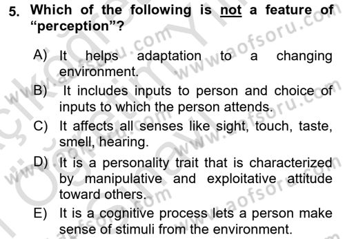 Organizational Behavior Dersi 2020 - 2021 Yılı Yaz Okulu Sınav Soruları 5. Soru