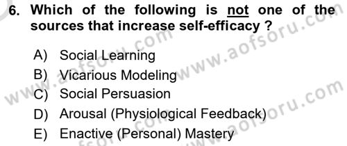 Organizational Behavior Dersi 2020 - 2021 Yılı Yaz Okulu Sınav Soruları 6. Soru
