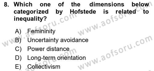 Organizational Behavior Dersi 2020 - 2021 Yılı Yaz Okulu Sınav Soruları 8. Soru