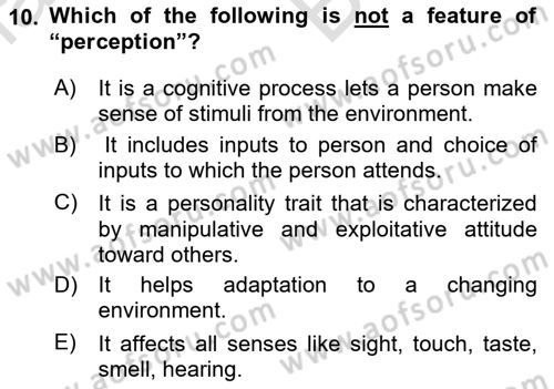 Organizational Behavior Dersi 2021 - 2022 Yılı (Vize) Ara Sınav Soruları 10. Soru