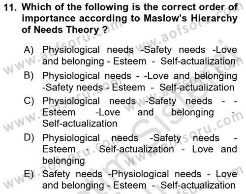 Organizational Behavior Dersi 2021 - 2022 Yılı (Vize) Ara Sınav Soruları 11. Soru