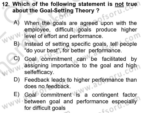 Organizational Behavior Dersi 2021 - 2022 Yılı (Vize) Ara Sınav Soruları 12. Soru