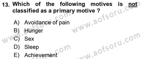 Organizational Behavior Dersi 2021 - 2022 Yılı (Vize) Ara Sınav Soruları 13. Soru