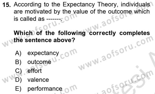 Organizational Behavior Dersi 2021 - 2022 Yılı (Vize) Ara Sınav Soruları 15. Soru