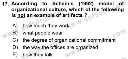 Organizational Behavior Dersi 2021 - 2022 Yılı (Vize) Ara Sınav Soruları 17. Soru