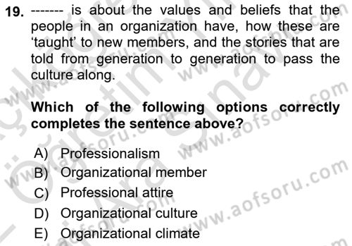 Organizational Behavior Dersi 2021 - 2022 Yılı (Vize) Ara Sınav Soruları 19. Soru