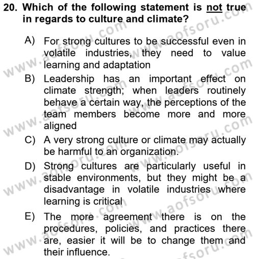 Organizational Behavior Dersi 2021 - 2022 Yılı (Vize) Ara Sınav Soruları 20. Soru