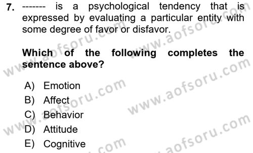 Organizational Behavior Dersi 2021 - 2022 Yılı (Vize) Ara Sınav Soruları 7. Soru