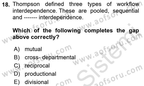 Organizational Behavior Dersi 2021 - 2022 Yılı (Final) Dönem Sonu Sınav Soruları 18. Soru