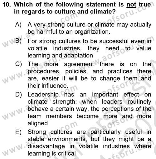Organizational Behavior Dersi 2021 - 2022 Yılı Yaz Okulu Sınav Soruları 10. Soru