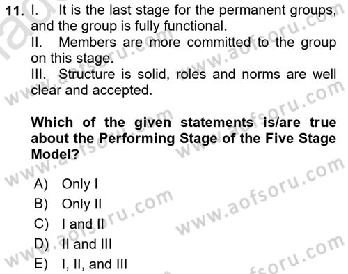 Organizational Behavior Dersi 2021 - 2022 Yılı Yaz Okulu Sınav Soruları 11. Soru