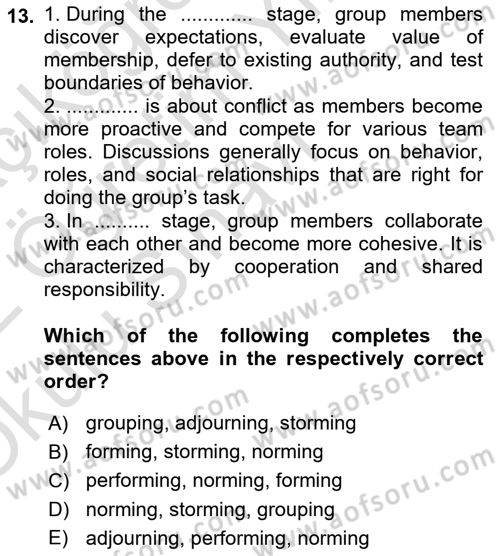 Organizational Behavior Dersi 2021 - 2022 Yılı Yaz Okulu Sınav Soruları 13. Soru
