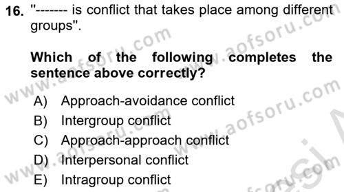 Organizational Behavior Dersi 2021 - 2022 Yılı Yaz Okulu Sınav Soruları 16. Soru