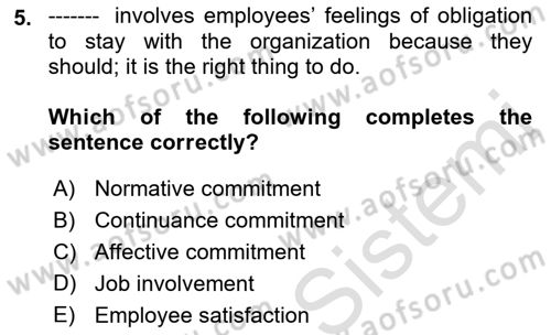 Organizational Behavior Dersi 2021 - 2022 Yılı Yaz Okulu Sınav Soruları 5. Soru