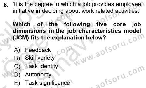 Organizational Behavior Dersi 2021 - 2022 Yılı Yaz Okulu Sınav Soruları 6. Soru