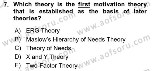 Organizational Behavior Dersi 2021 - 2022 Yılı Yaz Okulu Sınav Soruları 7. Soru
