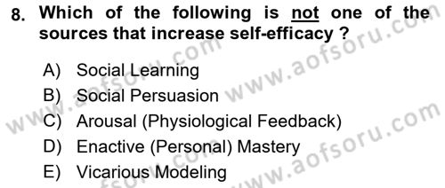Organizational Behavior Dersi 2021 - 2022 Yılı Yaz Okulu Sınav Soruları 8. Soru