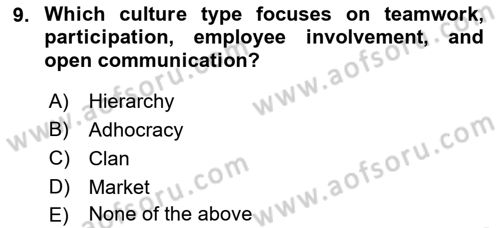 Organizational Behavior Dersi 2021 - 2022 Yılı Yaz Okulu Sınav Soruları 9. Soru
