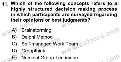 Organizational Behavior Dersi 2022 - 2023 Yılı Yaz Okulu Sınav Soruları 11. Soru