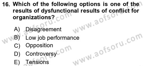 Organizational Behavior Dersi 2022 - 2023 Yılı Yaz Okulu Sınav Soruları 16. Soru