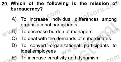Organizational Behavior Dersi 2022 - 2023 Yılı Yaz Okulu Sınav Soruları 20. Soru