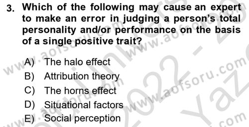 Organizational Behavior Dersi 2022 - 2023 Yılı Yaz Okulu Sınav Soruları 3. Soru