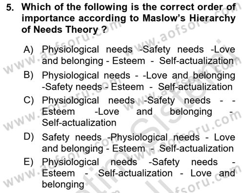Organizational Behavior Dersi 2022 - 2023 Yılı Yaz Okulu Sınav Soruları 5. Soru