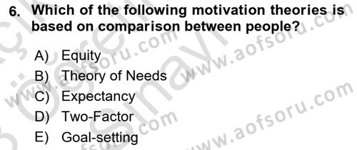 Organizational Behavior Dersi 2022 - 2023 Yılı Yaz Okulu Sınav Soruları 6. Soru