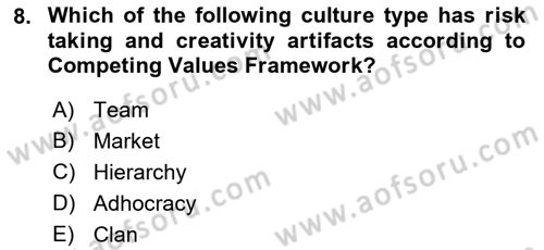 Organizational Behavior Dersi 2022 - 2023 Yılı Yaz Okulu Sınav Soruları 8. Soru