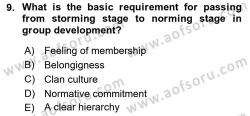 Organizational Behavior Dersi 2022 - 2023 Yılı Yaz Okulu Sınav Soruları 9. Soru