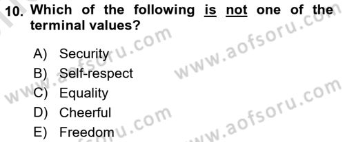 Organizational Behavior Dersi 2023 - 2024 Yılı (Vize) Ara Sınav Soruları 10. Soru