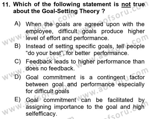 Organizational Behavior Dersi 2023 - 2024 Yılı (Vize) Ara Sınav Soruları 11. Soru